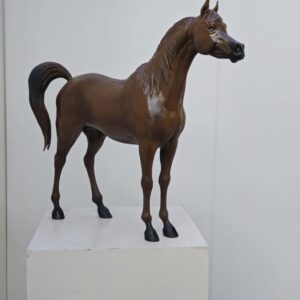 WhatsApp Image 2025-12-22 at 10.25.50 PM