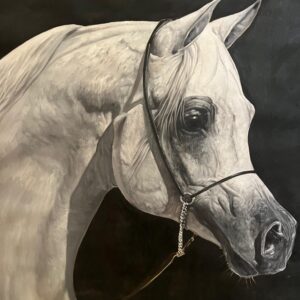 WhatsApp Image 2026-01-04 at 10.34.48 (1)